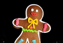 Omino Pan di Zenzero Cannella e Chiodi di Garofano omino pan di zenzero o gingerbread cookies