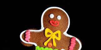 Omino Pan di Zenzero Cannella e Chiodi di Garofano omino pan di zenzero o gingerbread cookies